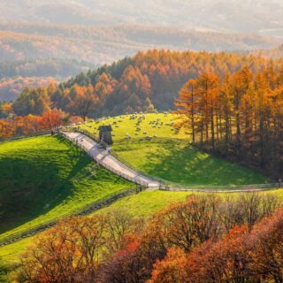 🌿 Gangwon es una de las regiones más sorprendentes de Corea del Sur. Montañas, playas, bosques y paisajes que demuestran que una Working Holiday es mucho más que trabajar: también es descubrir lugares increíbles en tu tiempo libre. 🇰🇷

Credits:
ⓒKorea Tourism Organization - Hong Gil-dongⓒKorea Tourism Organization - Shin Dong-ha
ⓒKorea Tourism Organization - Hong Gil-dongⓒKorea Tourism Organization - Hwang Sunghoon
ⓒKorea Tourism Organization - Hong Gil-dongⓒKorea Tourism Organization - Hong Jungpyoe
ⓒKorea Tourism Organization - Hong Gil-dongⓒKorea Tourism Organization - Kim Jiho
ⓒKorea Tourism Organization - Hong Gil-dongⓒKorea Tourism Organization - Hwang Sunghoon
ⓒKorea Tourism Organization - Hong Gil-dongⓒKorea Tourism Organization - Hwang Sunghoon